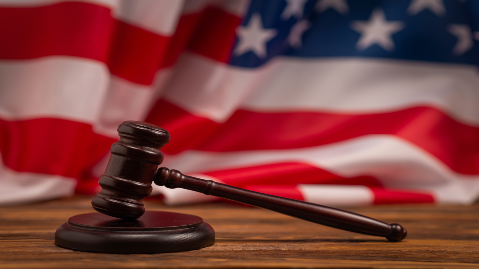 DAZI USA Acciaio e Alluminio: voci doganali interessate e contro-misure europee