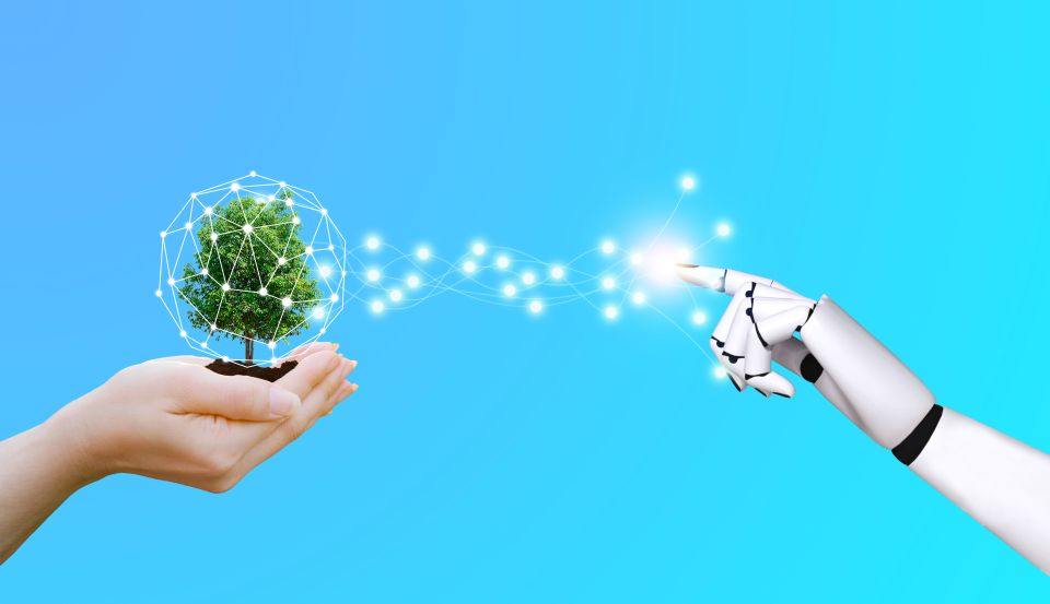 Il Programma LIFE e l’Innovation Fund: un’opportunità per progetti pilota e investimenti nell’ambito dell’eco-innovazione e della decarbonizzazione industriale