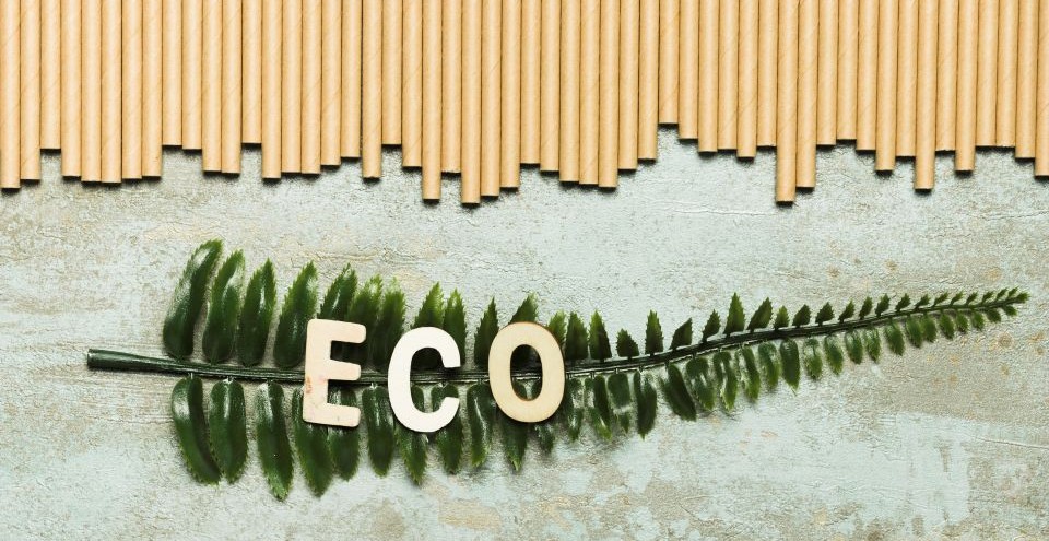 Ecodesign - Regolamento UE n. 2024/1781 - Piano di lavoro 2025-2030