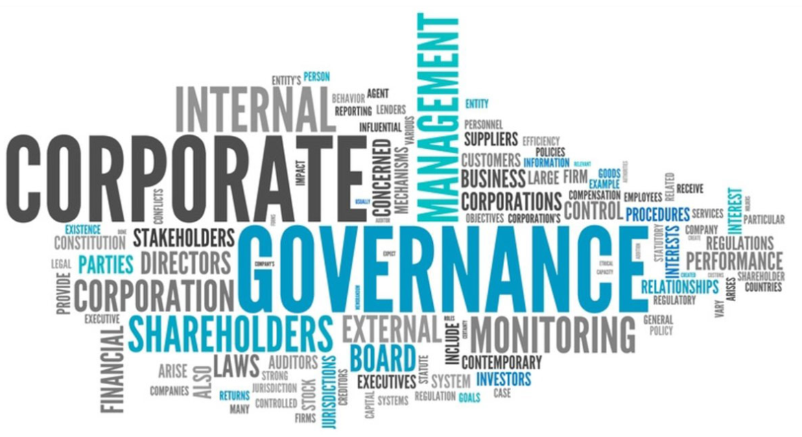 Assessment Corporate Governance