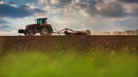 Bando per investimenti delle imprese agroindustriali