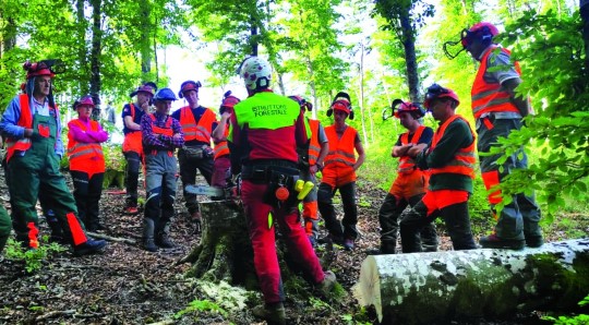 Al via la partnership tra Sabart e il Centro di formazione Vittorio Tadini per la qualificazione professionale degli operatori forestali