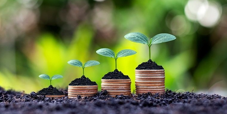 Finanza Green nel mirino: tra il rischio greenwashing e opportunità per le imprese