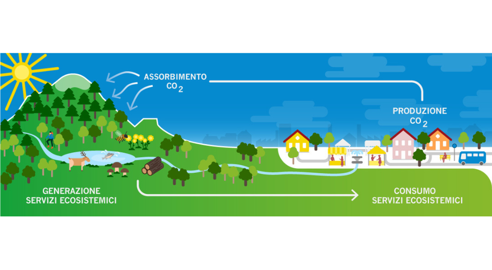 Avvio del progetto Impresa Sostenibile e Carbon Neutral