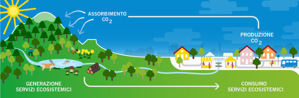 Progetto Impresa Sostenibile e Carbon Neutral: al via il ciclo di incontri